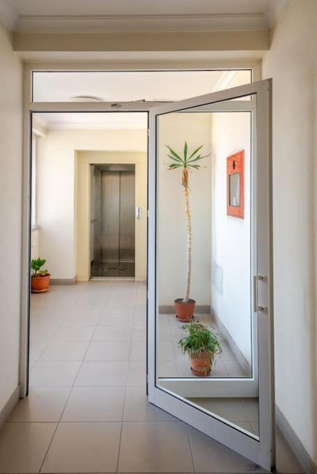 Remedios Apartment Lamego Kültér fotó